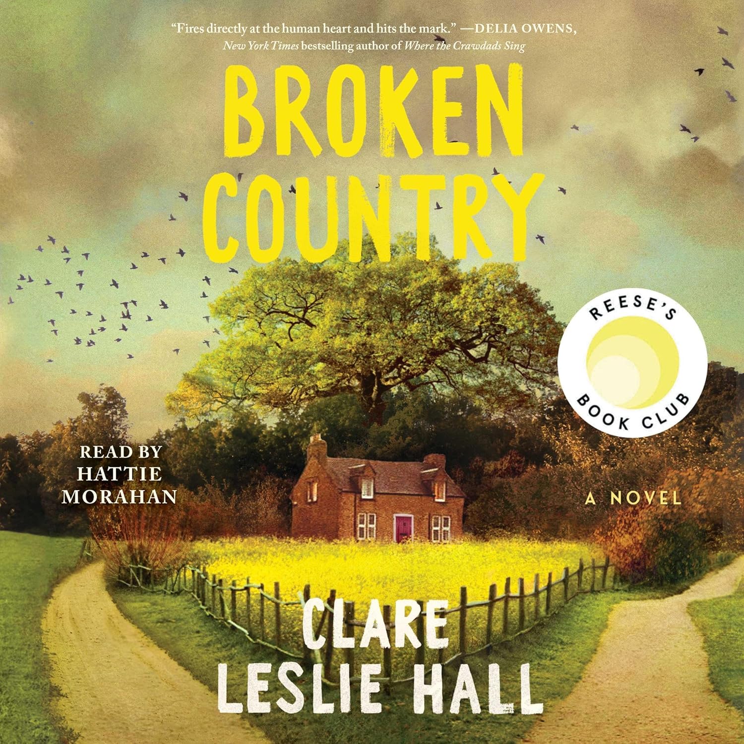 Unearthing Resilience: A Deep Dive into the Heart of Broken Country