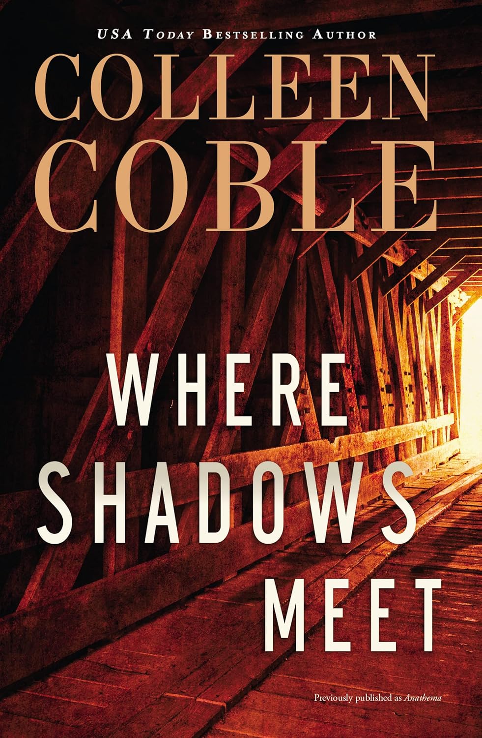 Whispers of Danger and Desire: Unraveling the Layers of Where Shadows Meet