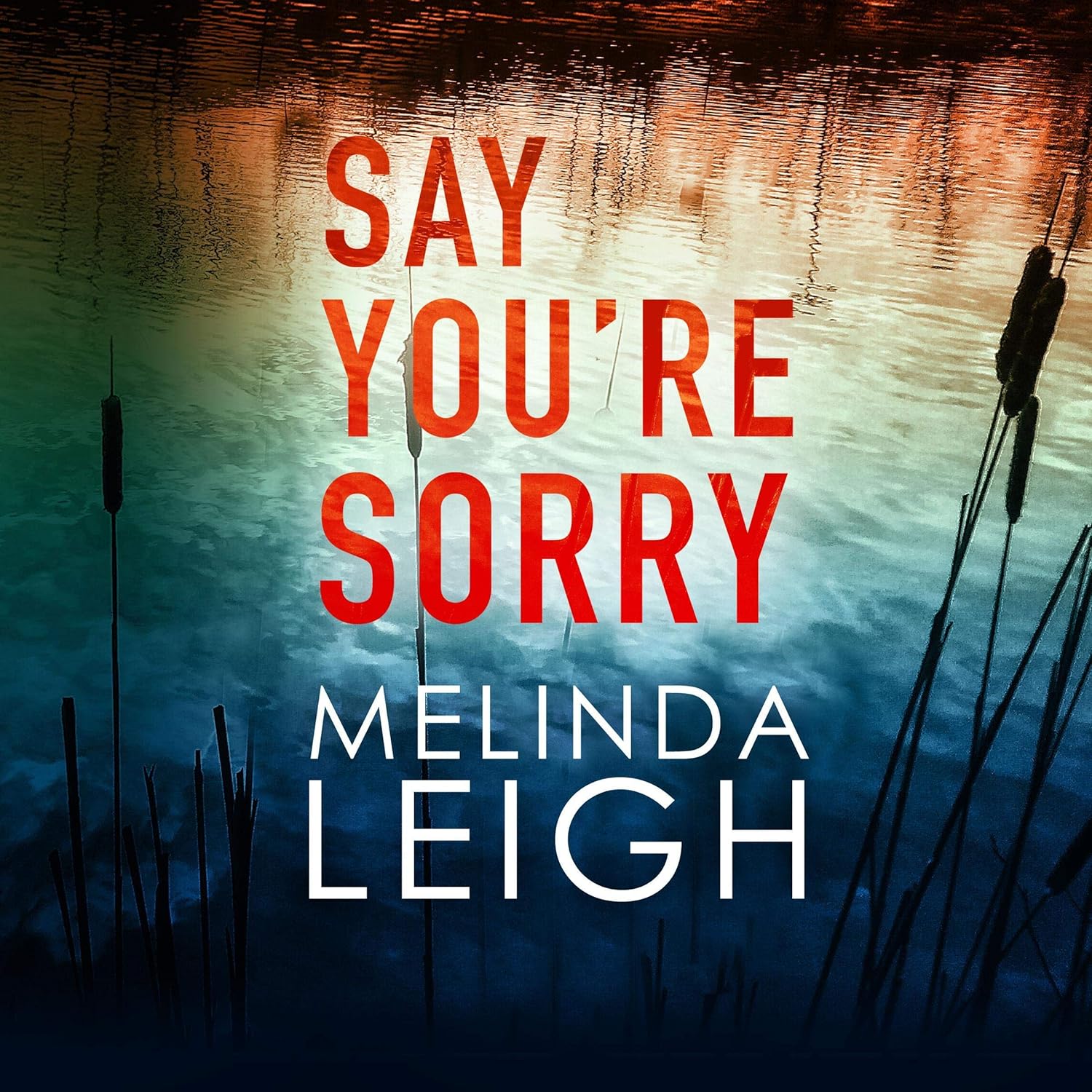 Unraveling Secrets: A Deep Dive into Say You're Sorry by Melinda Leigh